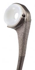 DiscoveryÂ® Elbow System