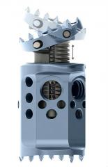 CAPRIâ„¢ Corpectomy Cage System Product