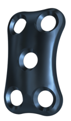 CAYMANÂ® Anterior Plate System Product