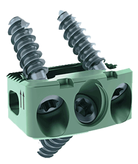 CHESAPEAKEÂ® Cervical-Ti Stabilization System Product
