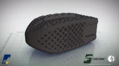 CASCADIAâ„¢ AN Lordotic-Oblique 3D Interbody System Product